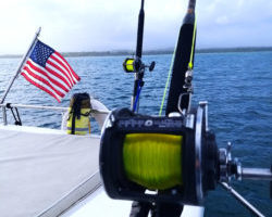 Zenith Four Outrigger Rods 250x250 1 250x200