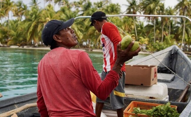 Imgi 15 IMG 20240228 WA0061 650x400