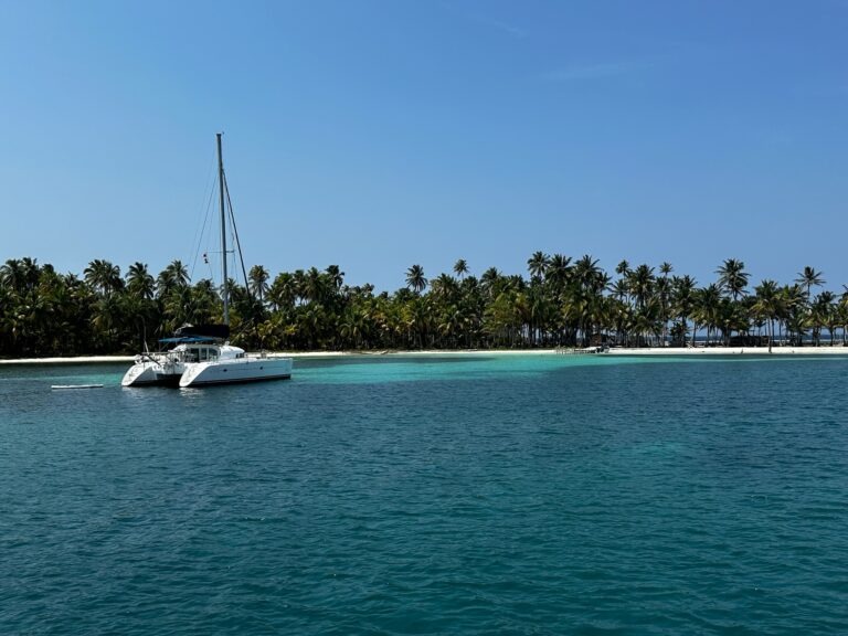 Imgi 205 IMG 0901 768x576