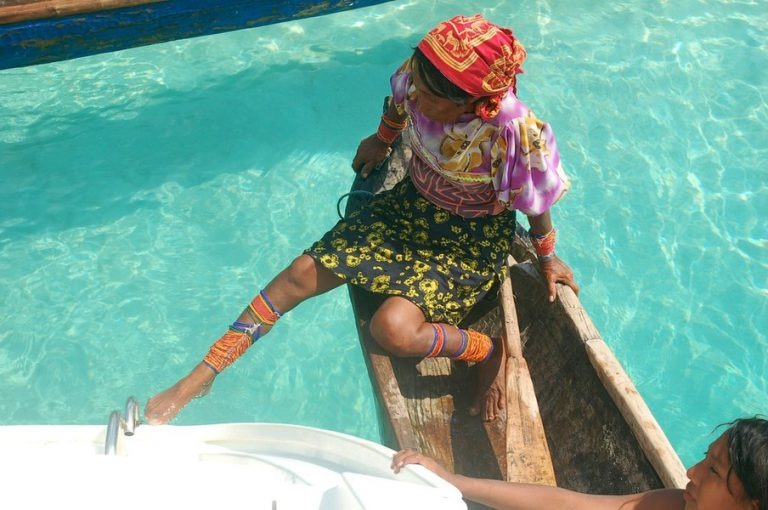 Imgi 52 cache 12243985 768x510