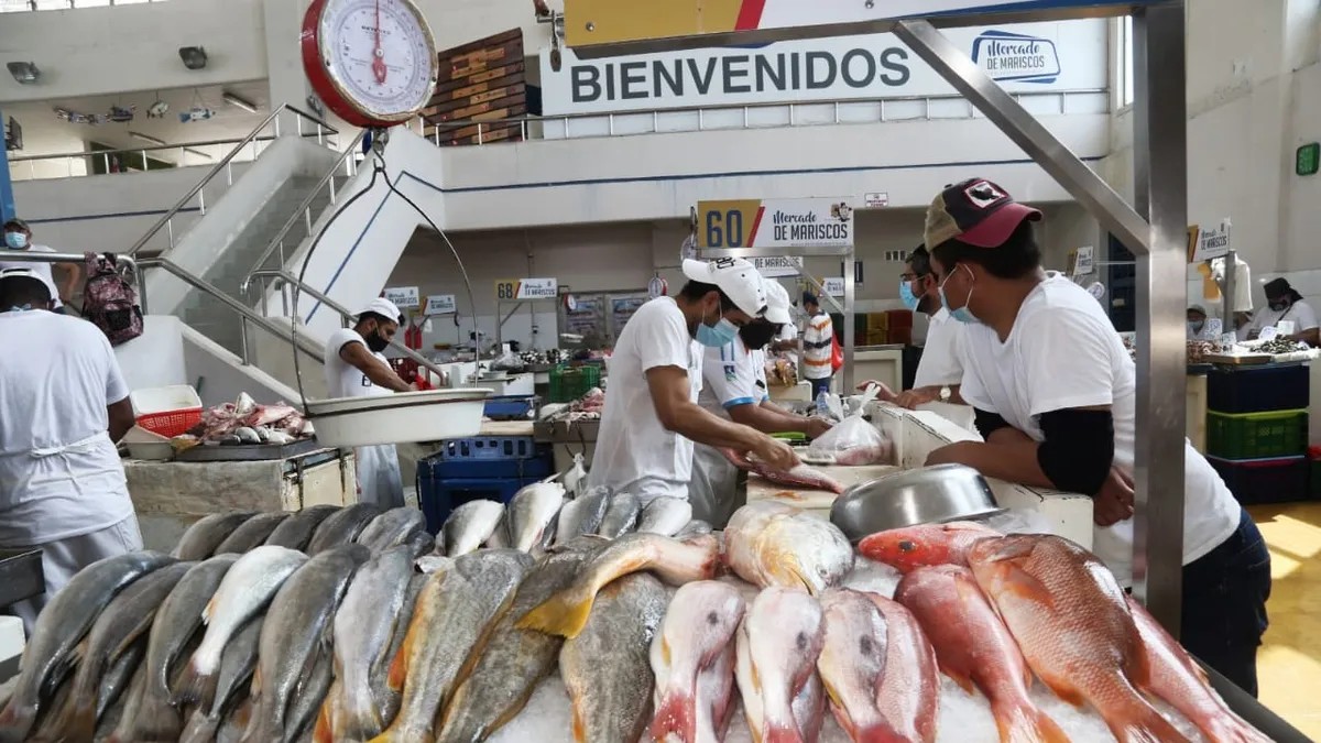Mercado mariscos 2jpeg