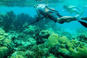 Snorkeling Spear Fishing San Blas